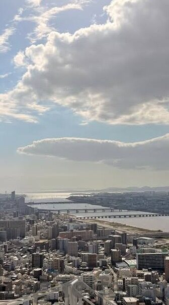 大赢家足球比分足球比-大赢家足球比分，足球比拼中的智慧灯塔